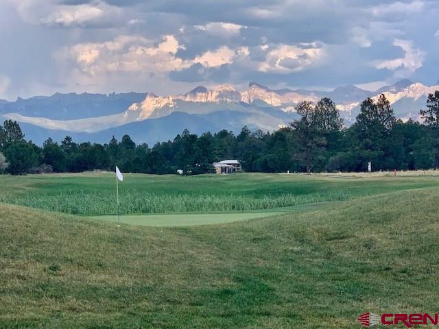 1254 Marmot Drive Ridgway, CO 81432 - Photo 34 of 34 a view of grassy field with trees