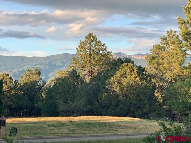1254 Marmot Drive Ridgway, CO 81432 - Photo 5 of 34 a view of a yard