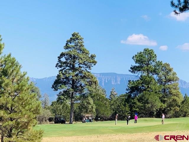 1254 Marmot Drive Ridgway, CO 81432 - Photo 6 of 34 a view of a city view and trees
