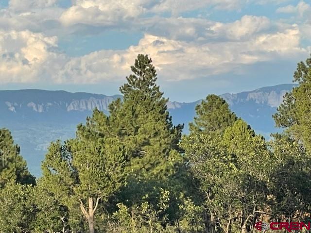 1254 Marmot Drive Ridgway, CO 81432 - Photo 7 of 34 a view of a bunch of plants and trees