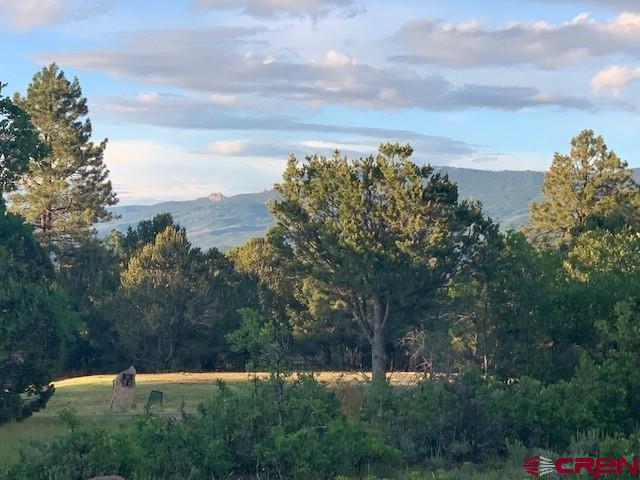 1254 Marmot Drive Ridgway, CO 81432 - Photo 8 of 34 a sunset view with a lake