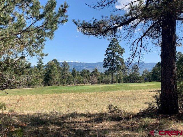 1254 Marmot Drive Ridgway, CO 81432 - Photo 9 of 34 a view of a field with an ocean