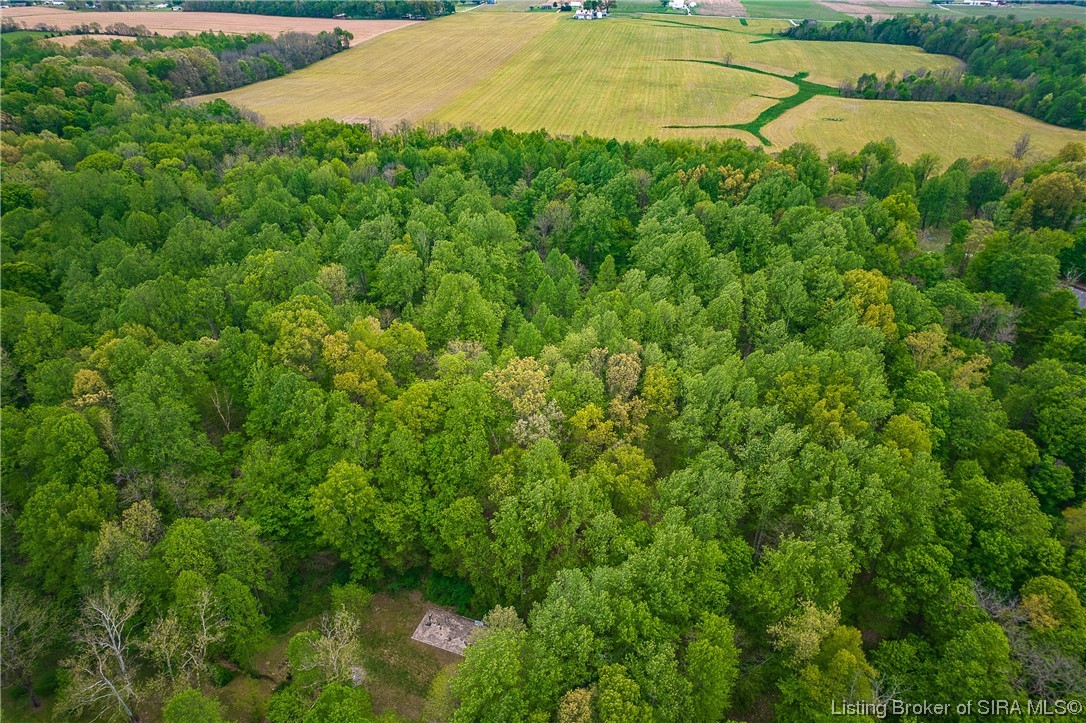 6905 Black Chapel Road Southeast Elizabeth, IN 47117 - Photo 13 of 15