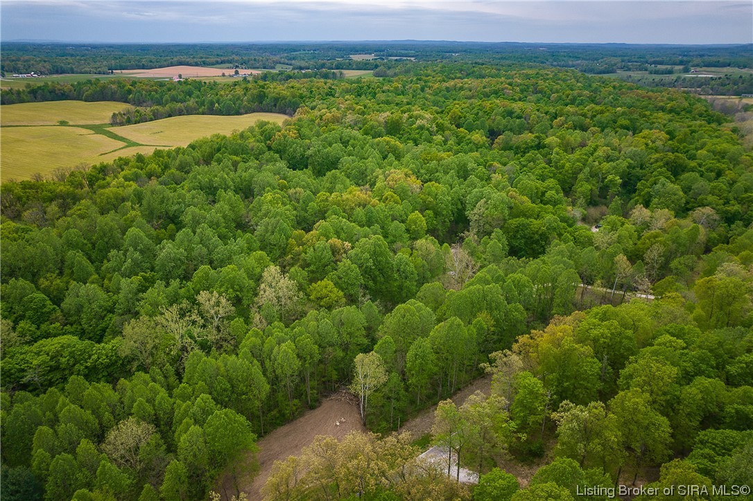 6905 Black Chapel Road Southeast Elizabeth, IN 47117 - Photo 4 of 15