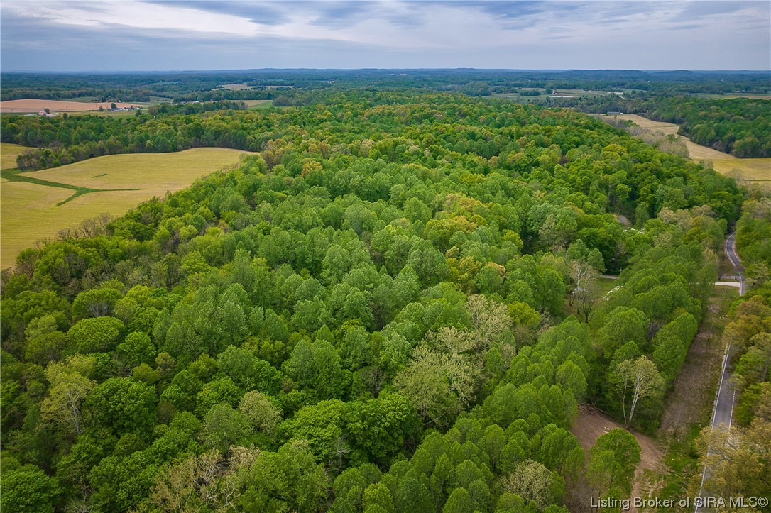 6905 Black Chapel Road Southeast Elizabeth, IN 47117 - Photo 5 of 15