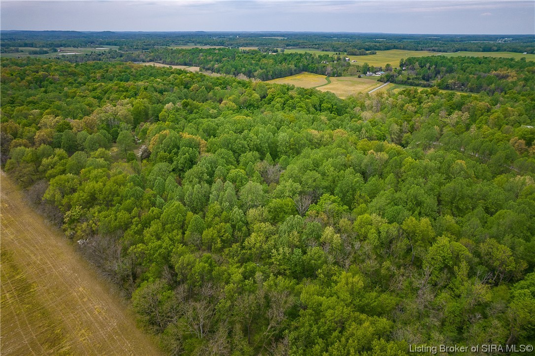 6905 Black Chapel Road Southeast Elizabeth, IN 47117 - Photo 7 of 15