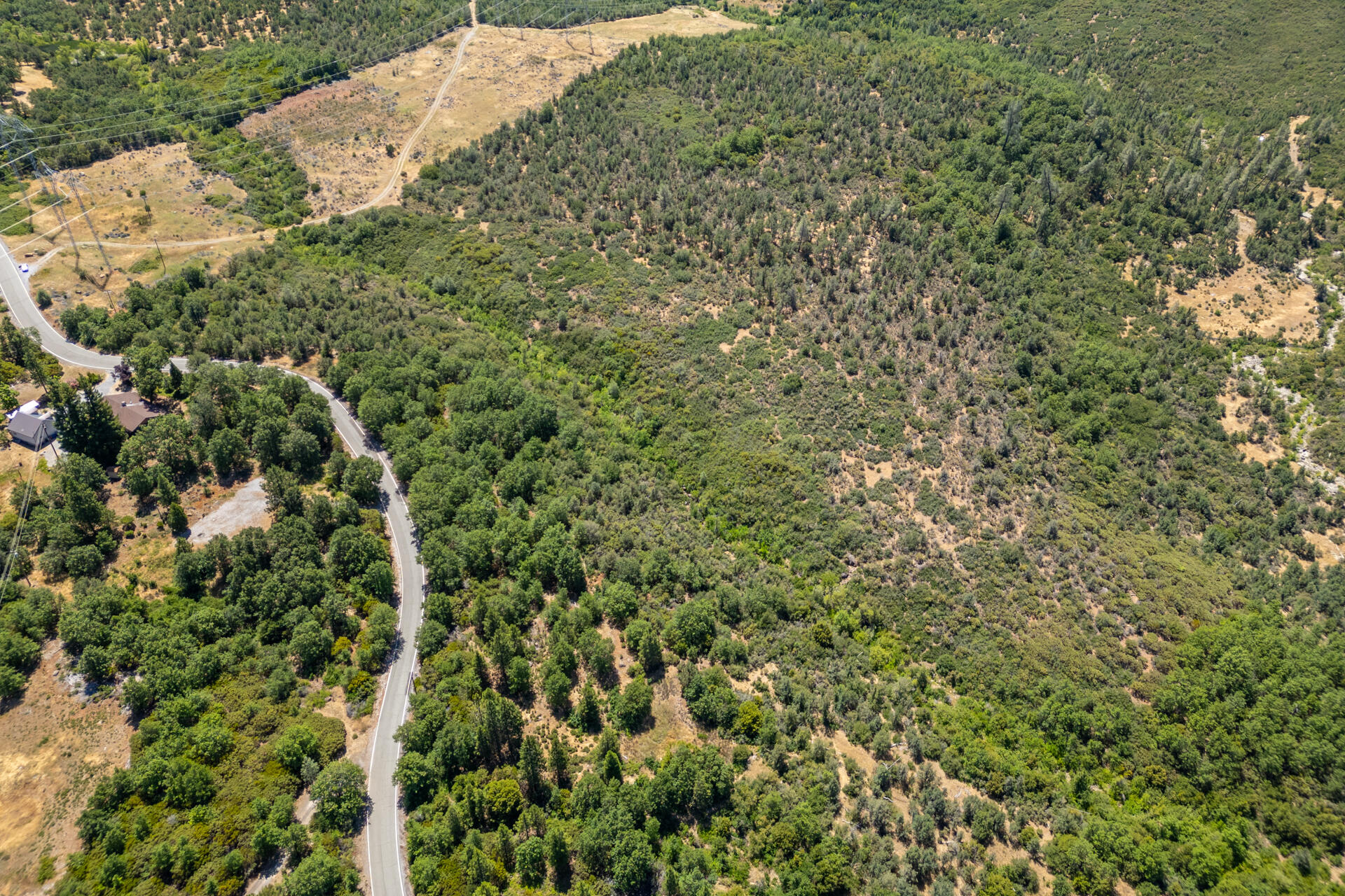Frisby Road Round Mountain, CA 96084 - Photo 6 of 14 a view of a forest with a tree
