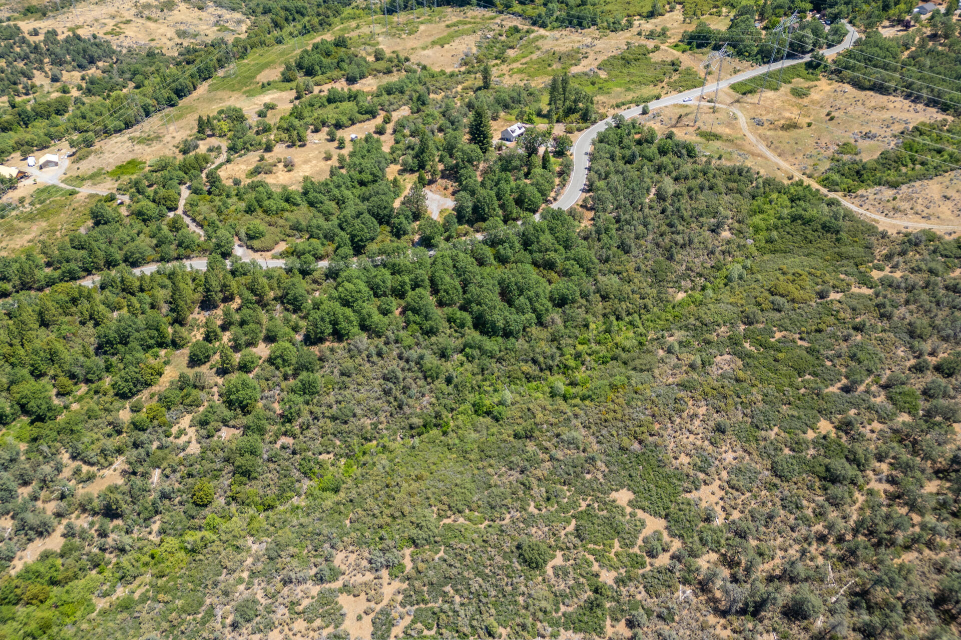 Frisby Road Round Mountain, CA 96084 - Photo 9 of 14 a view of a forest with a tree