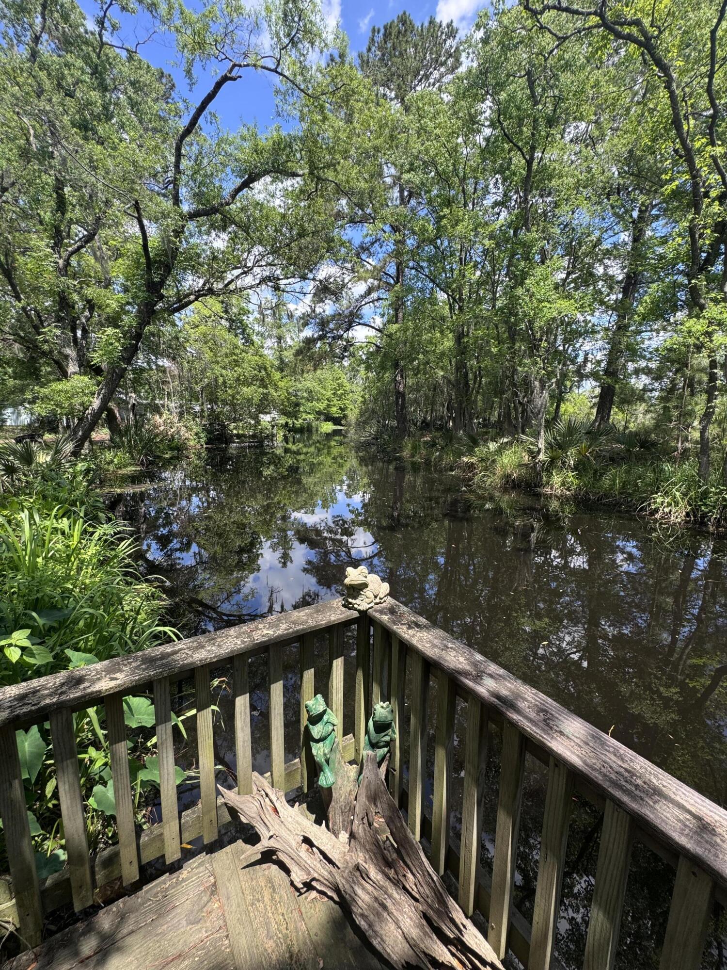 13 Wee Hope Loop Walterboro, SC 29488 - Photo 14 of 14 IMG_1284