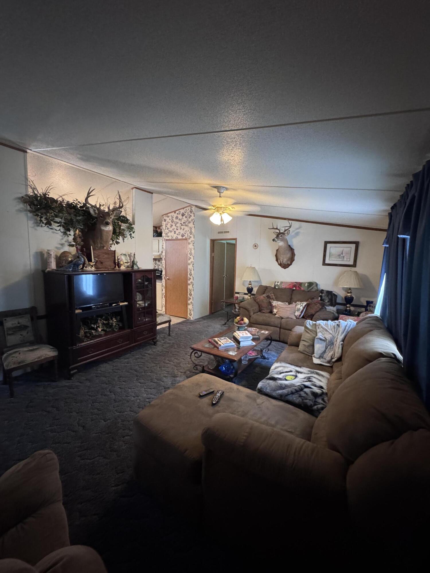 13 Wee Hope Loop Walterboro, SC 29488 - Photo 8 of 14 IMG_1278