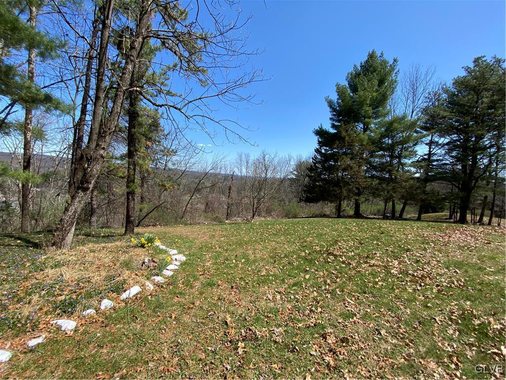 173 Skyview Circle Sciota, PA 18354 - Photo 21 of 25 a view of a yard with a tree