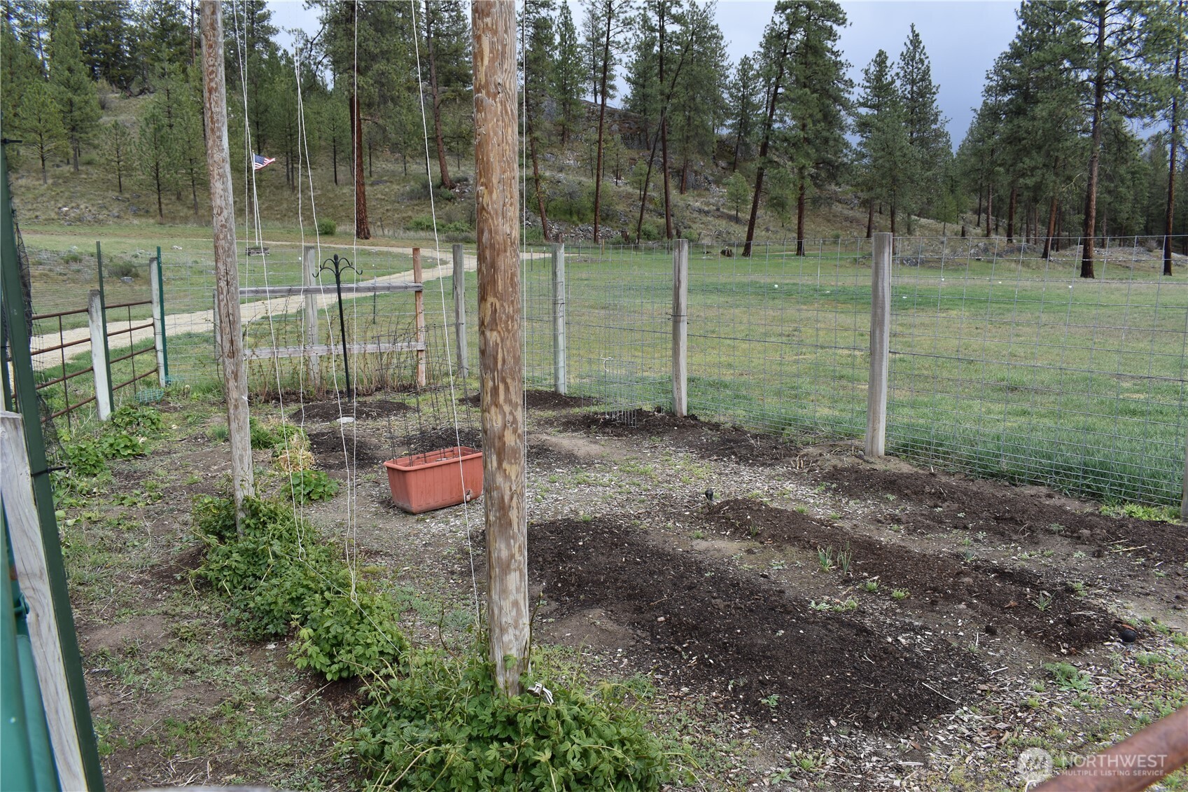 53 Cape Labelle Road Tonasket, WA 98855 - Photo 23 of 40 a view of a park with a trees