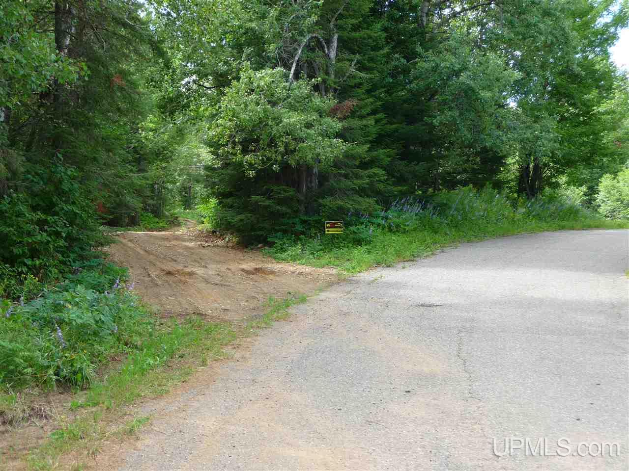 Tbd Tbd Road Republic, MI 49879 - Photo 9 of 21