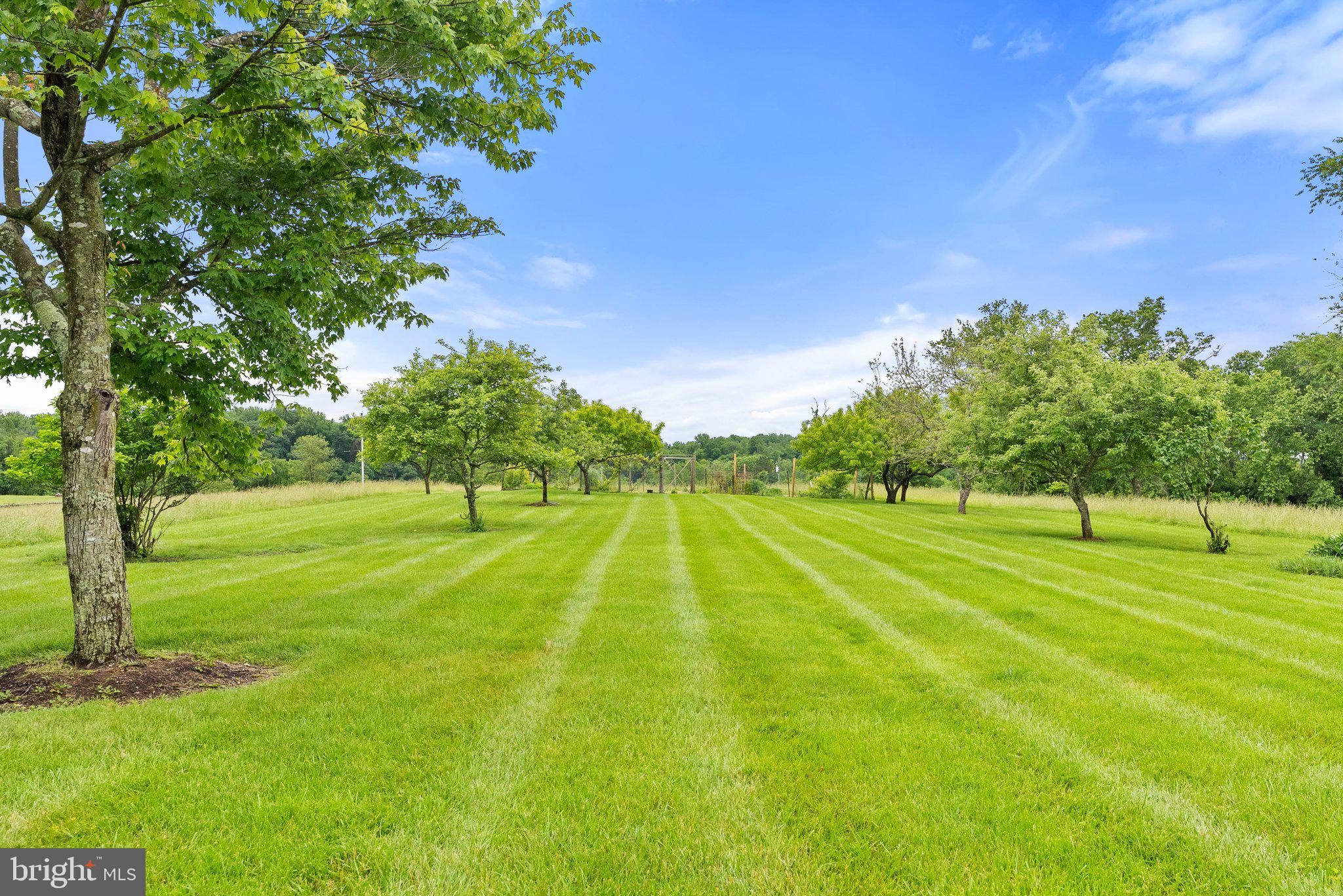 22693 St Louis Road Middleburg, VA 20117 - Photo 72 of 85 Gallery Image 72