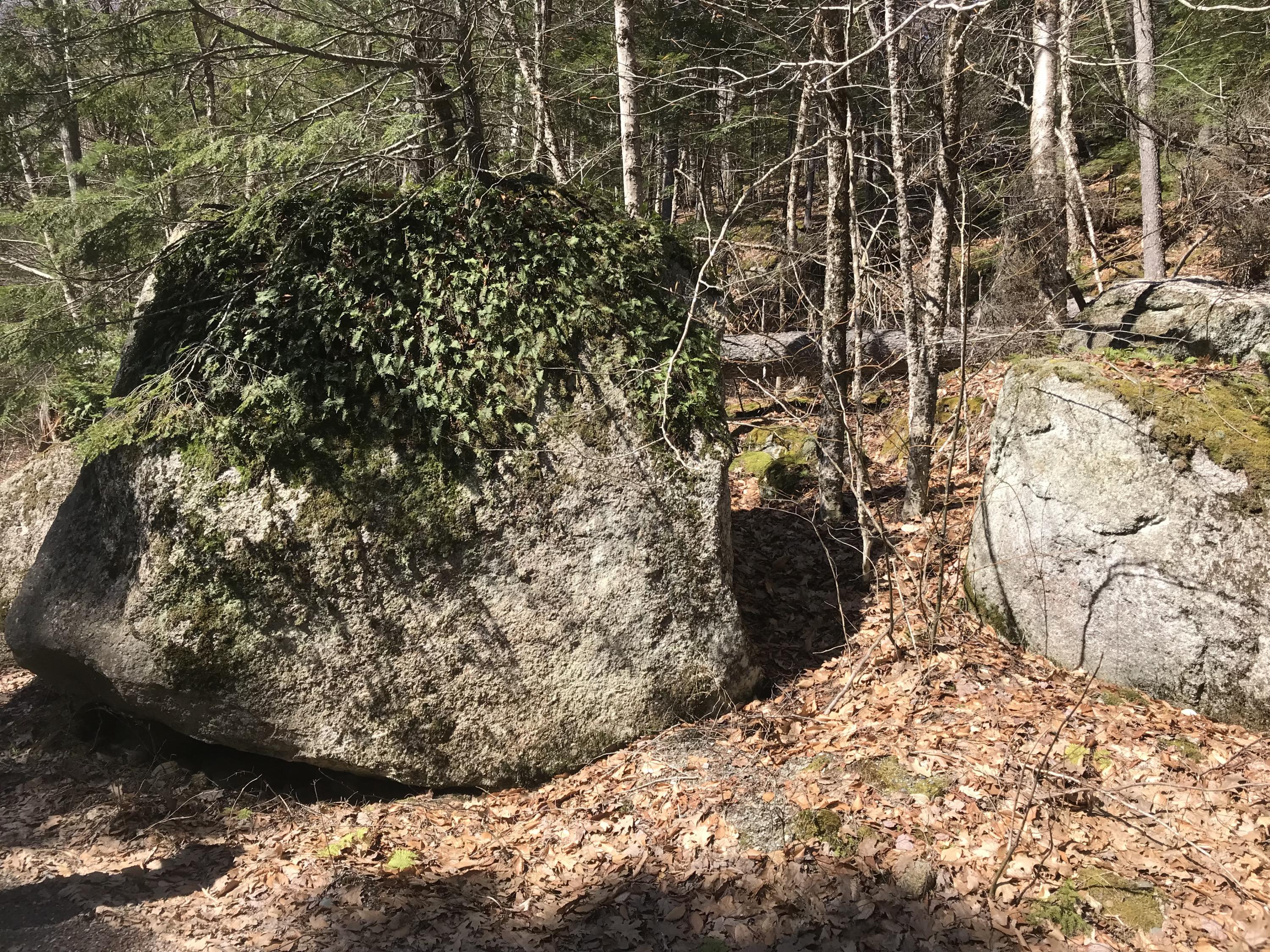 0 Fitts Mountain Road Dedham, ME 04429 - Photo 38 of 83 %bEcNBNlQPG6x8lDlyUu5g