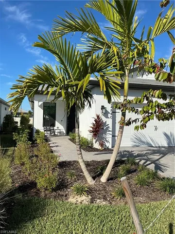 a view of a palm tree with a yard