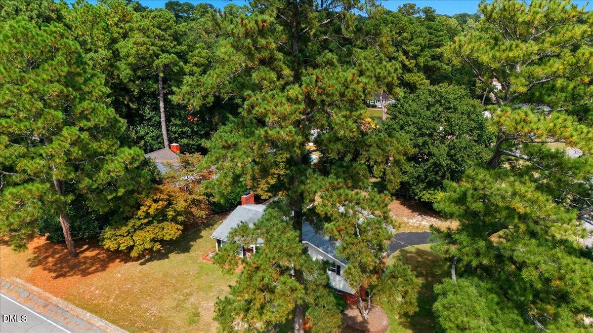 2604 Huntington Road Fayetteville, NC 28303 - Photo 43 of 48 a view of a tree with a plant