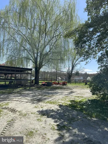 a view of a yard with a large tree