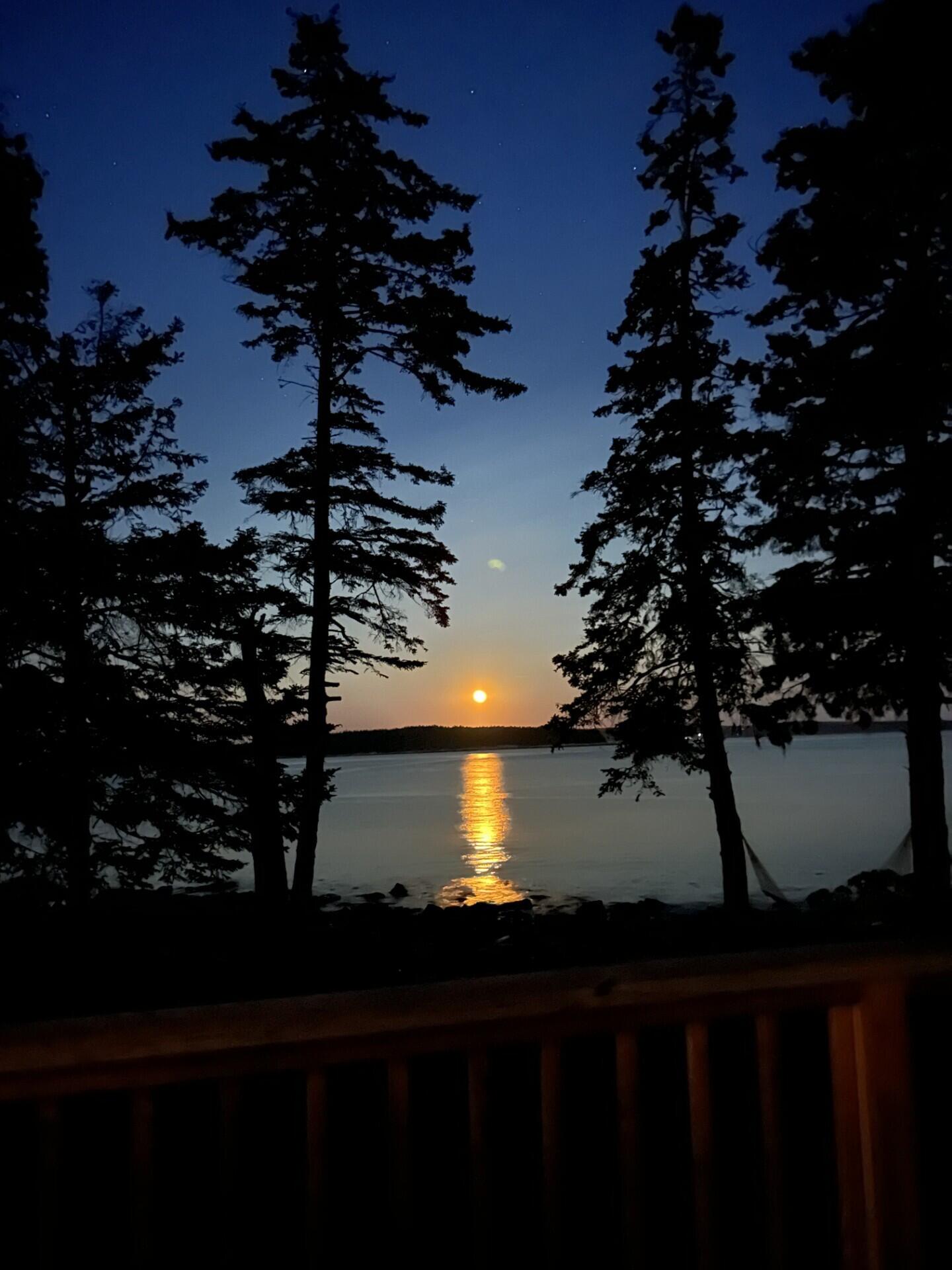 180 Red Point Road Swans Island, ME 04685 - Photo 31 of 42 180 Red Sunrise Pic