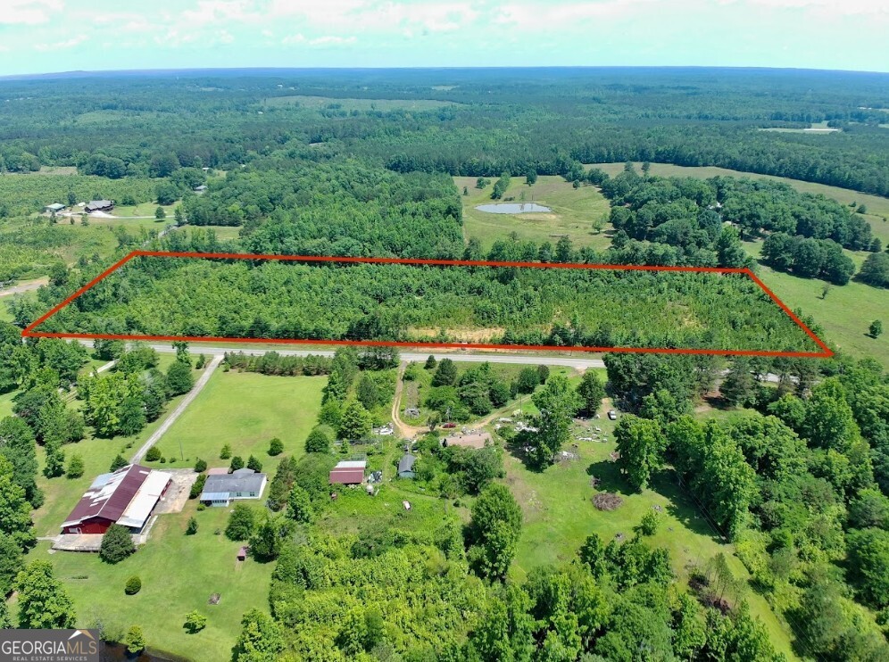 0 Prospect Road Nauvoo, AL 35578 - Photo 12 of 19