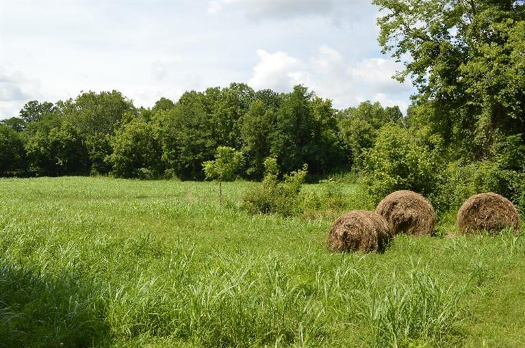5294 Waterloo Road Burlington, KY 41005 - Photo 28 of 30 Gallery Image 28