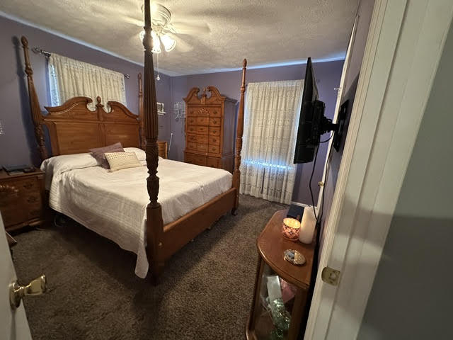 101 Ball Street Springfield, KY 40069 - Photo 12 of 14 bed 2