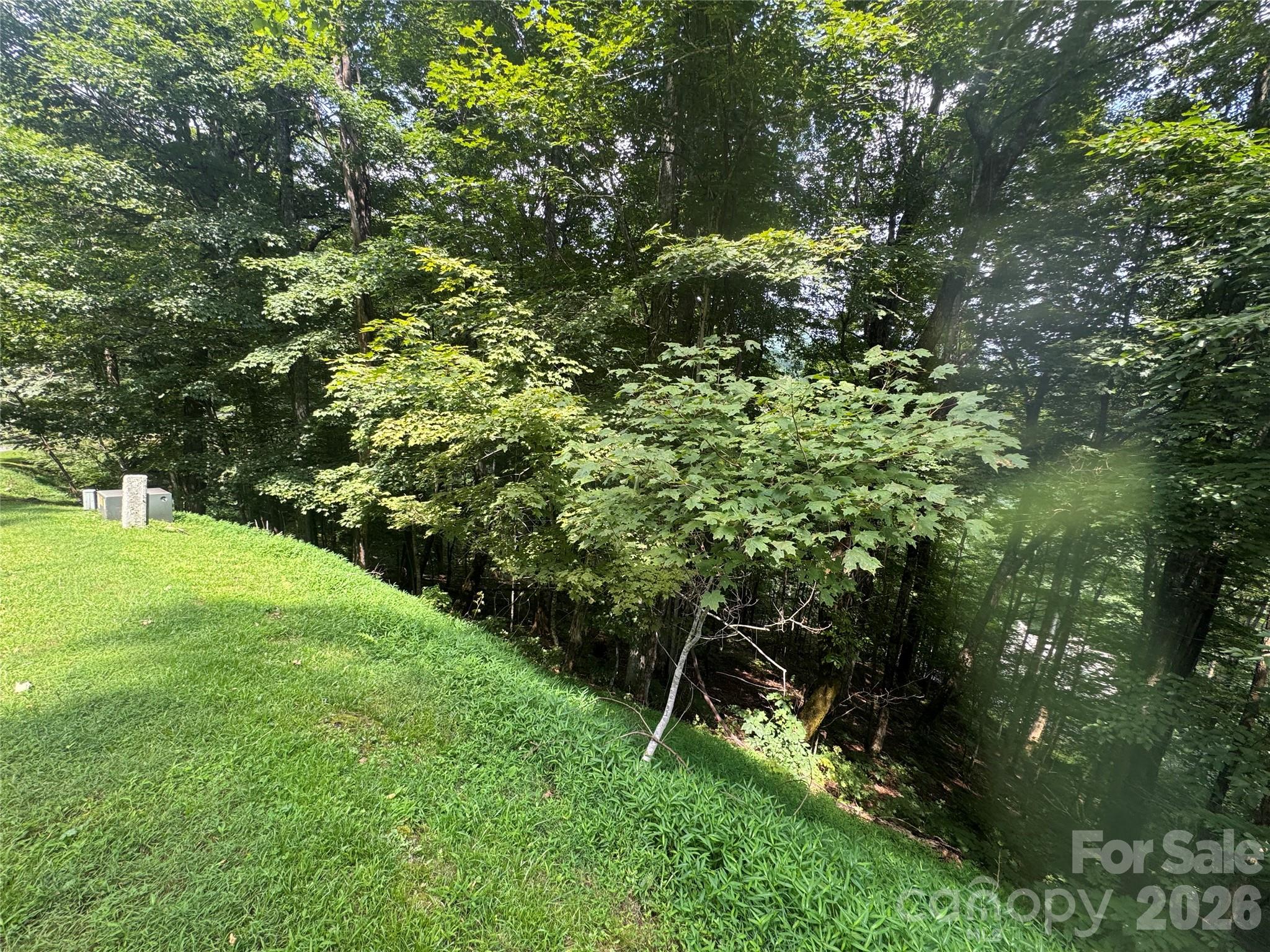 84 Goldenleaf Road Mars Hill, NC 28754 - Photo 7 of 26 Gallery Image 7