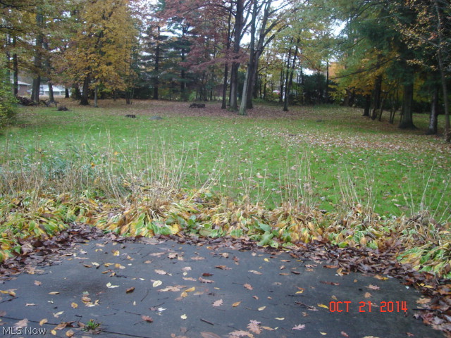 855 Bears Den Road Youngstown, OH 44511 - Photo 10 of 13 Gallery Image 10