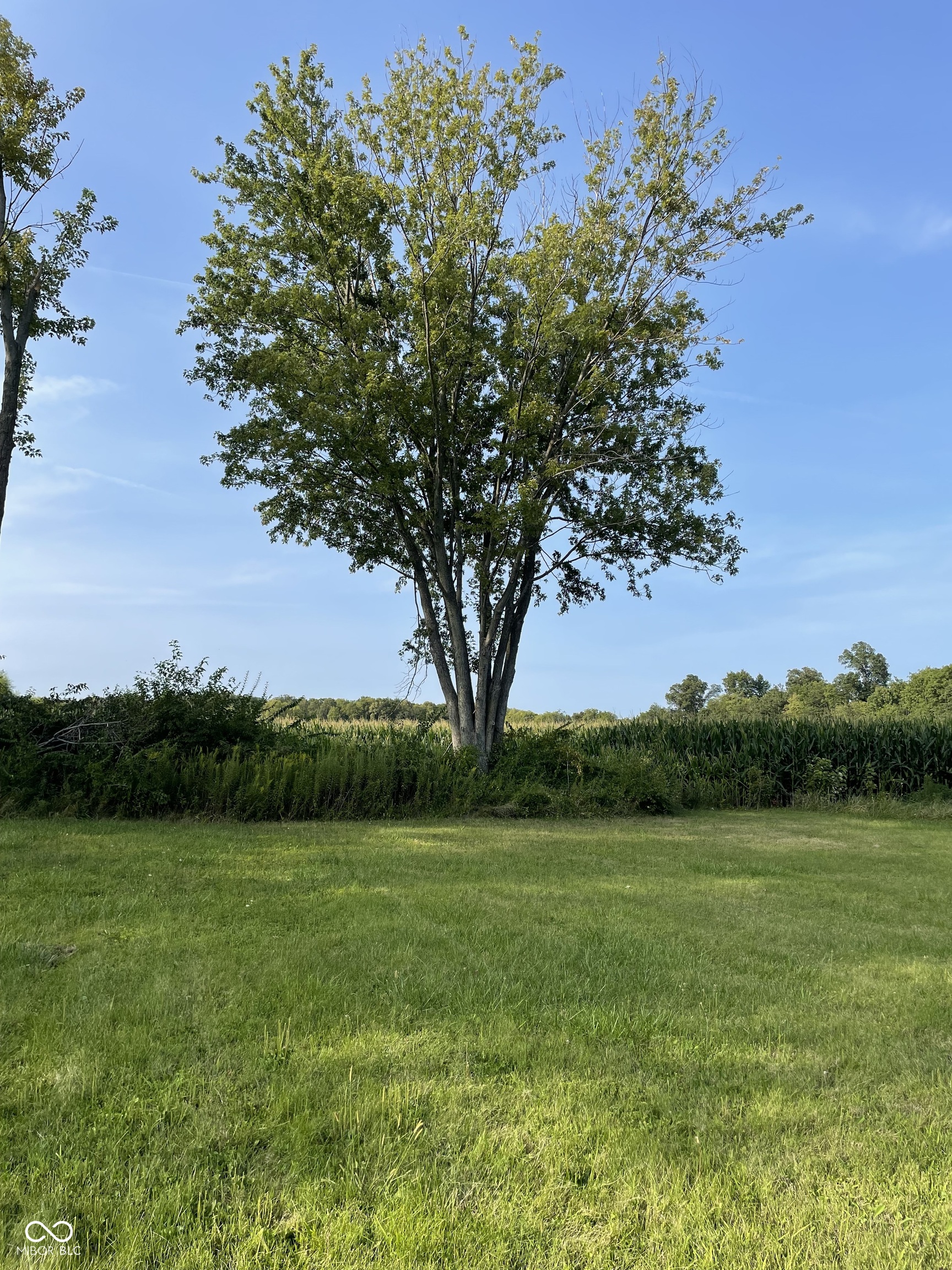 596 West 100 North Greenfield, IN 46140 - Photo 7 of 8