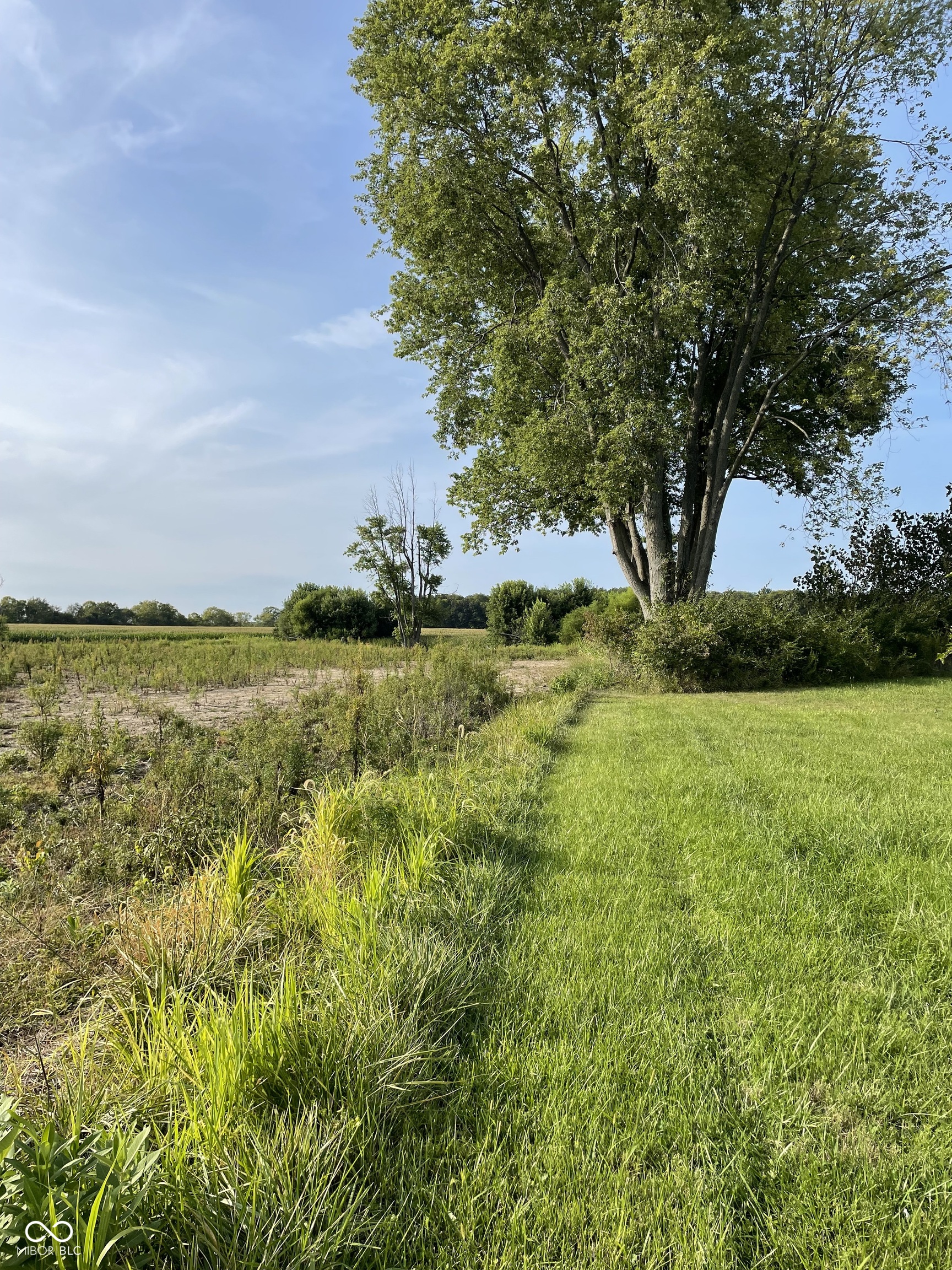 596 West 100 North Greenfield, IN 46140 - Photo 8 of 8