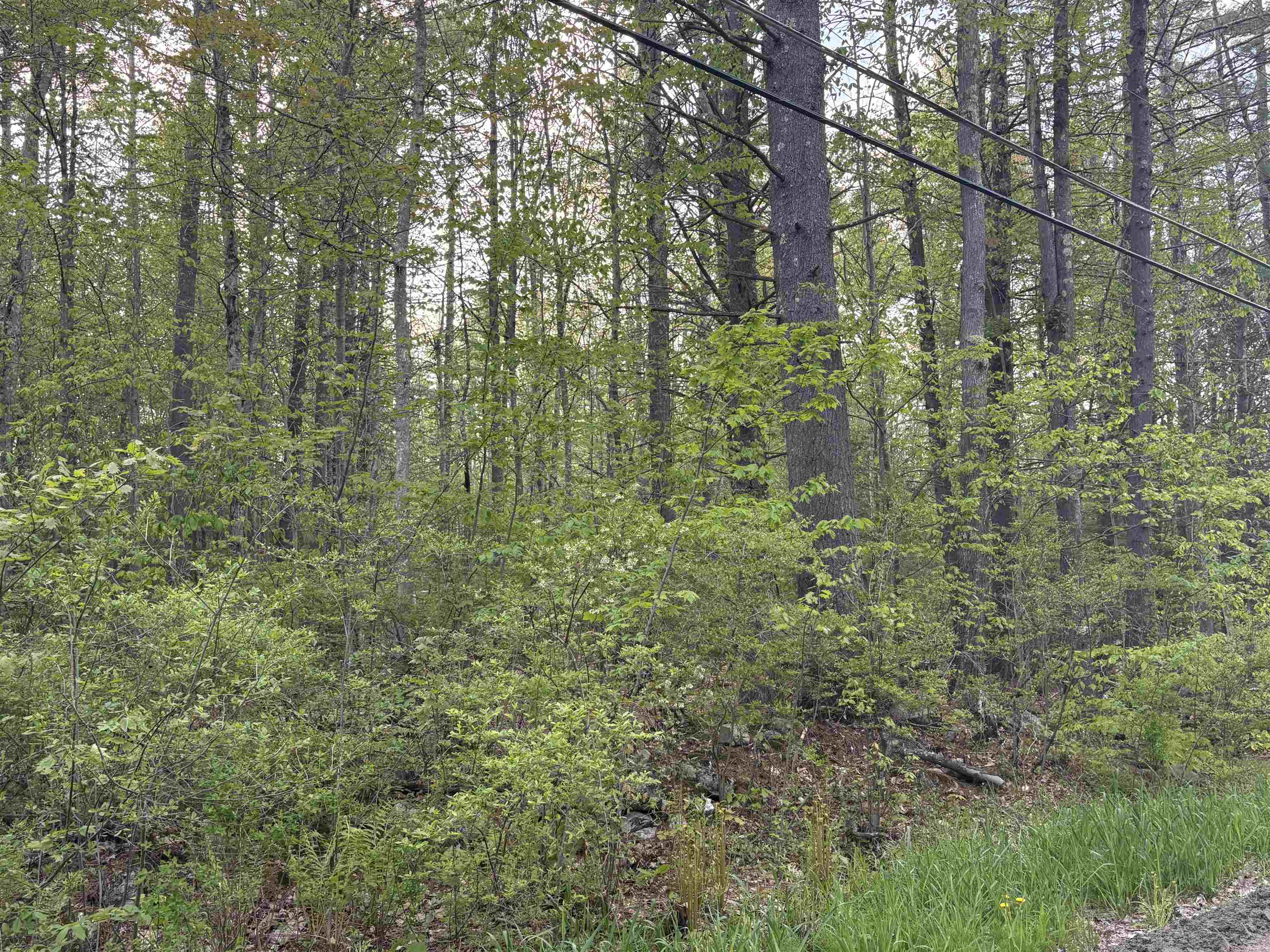Lot 80 Currier Road Candia, NH 03034 - Photo 1 of 22 Gallery Image 1