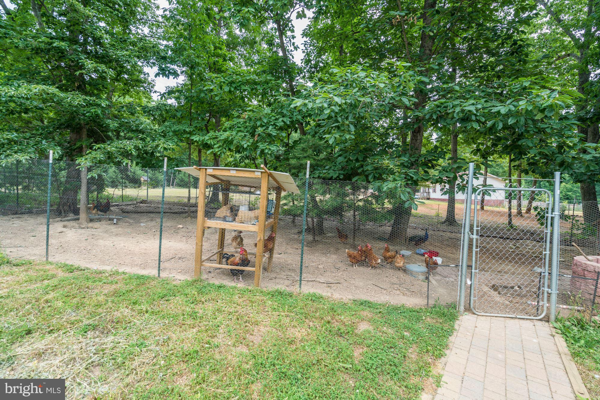27232 Big H Ranch Road Culpeper, VA 22701 - Photo 23 of 30 Chicken House