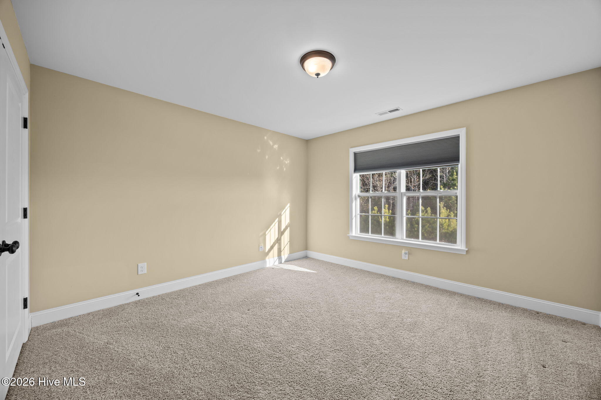 3209 Rounding Bend Drive Winterville, NC 28590 - Photo 25 of 51 43-web-or-mls-IMG_5330