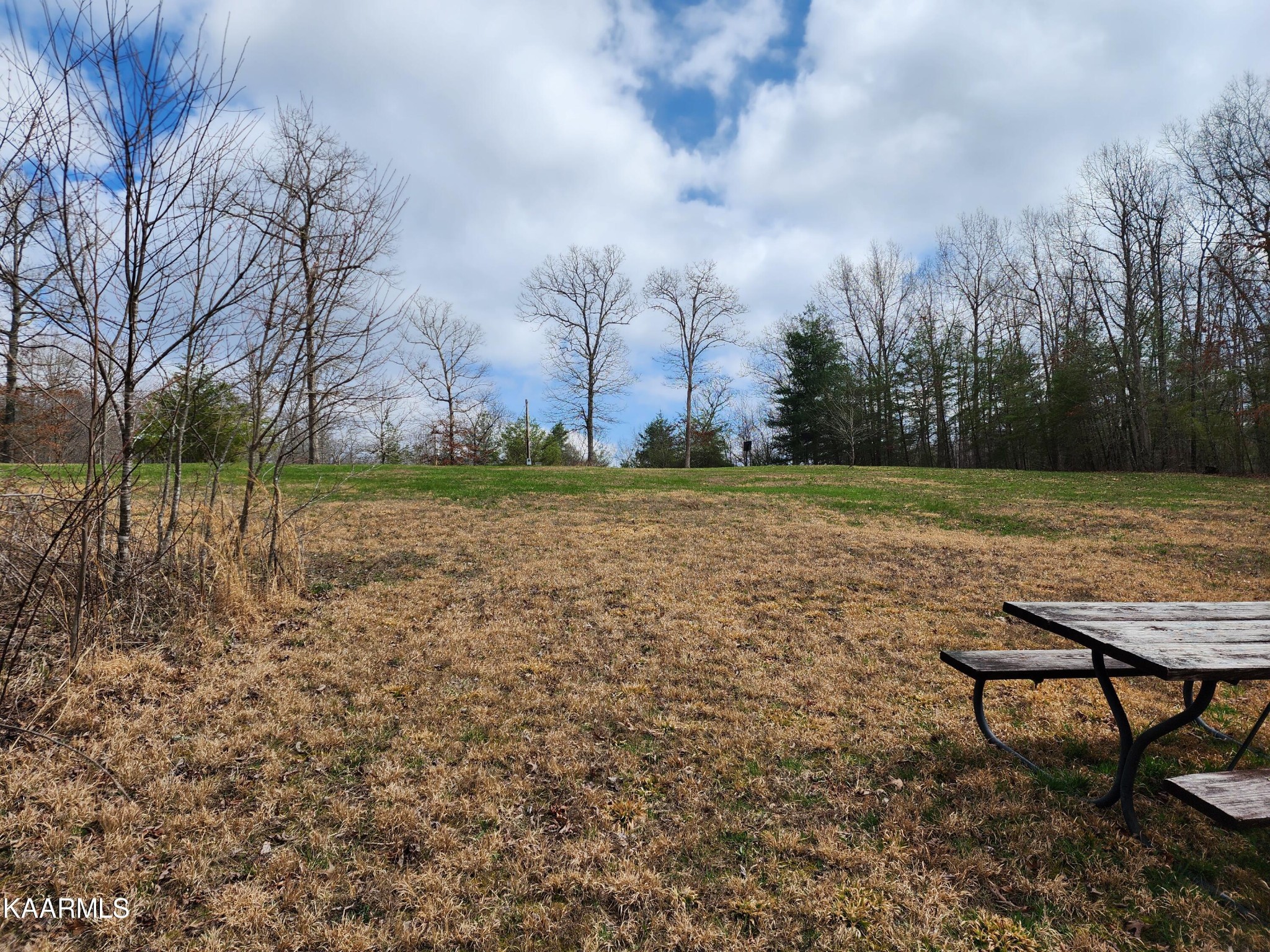 215 Hensley Road Deer Lodge, TN 37726 - Photo 10 of 29 Gallery Image 10
