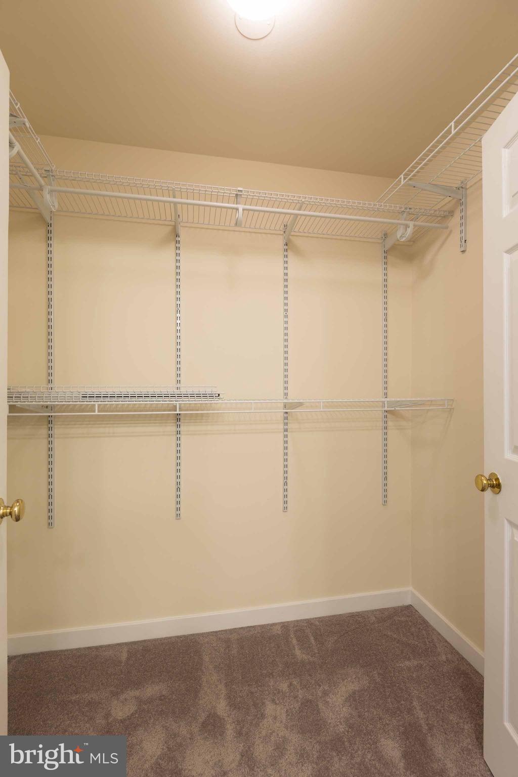 345 Pleasanton Road, Unit A32 Westminster, MD 21157 - Photo 17 of 29 Huge Walk in closet