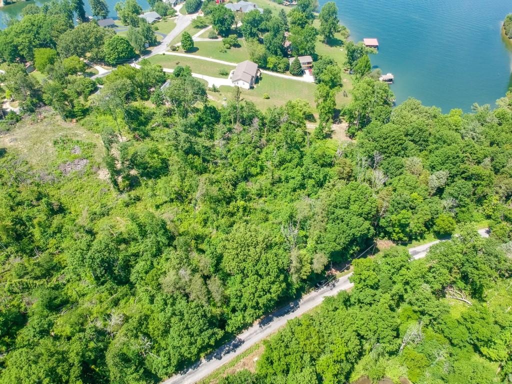 0 Blue Water Trail Spring City, TN 37381 - Photo 24 of 36 Gallery Image 24