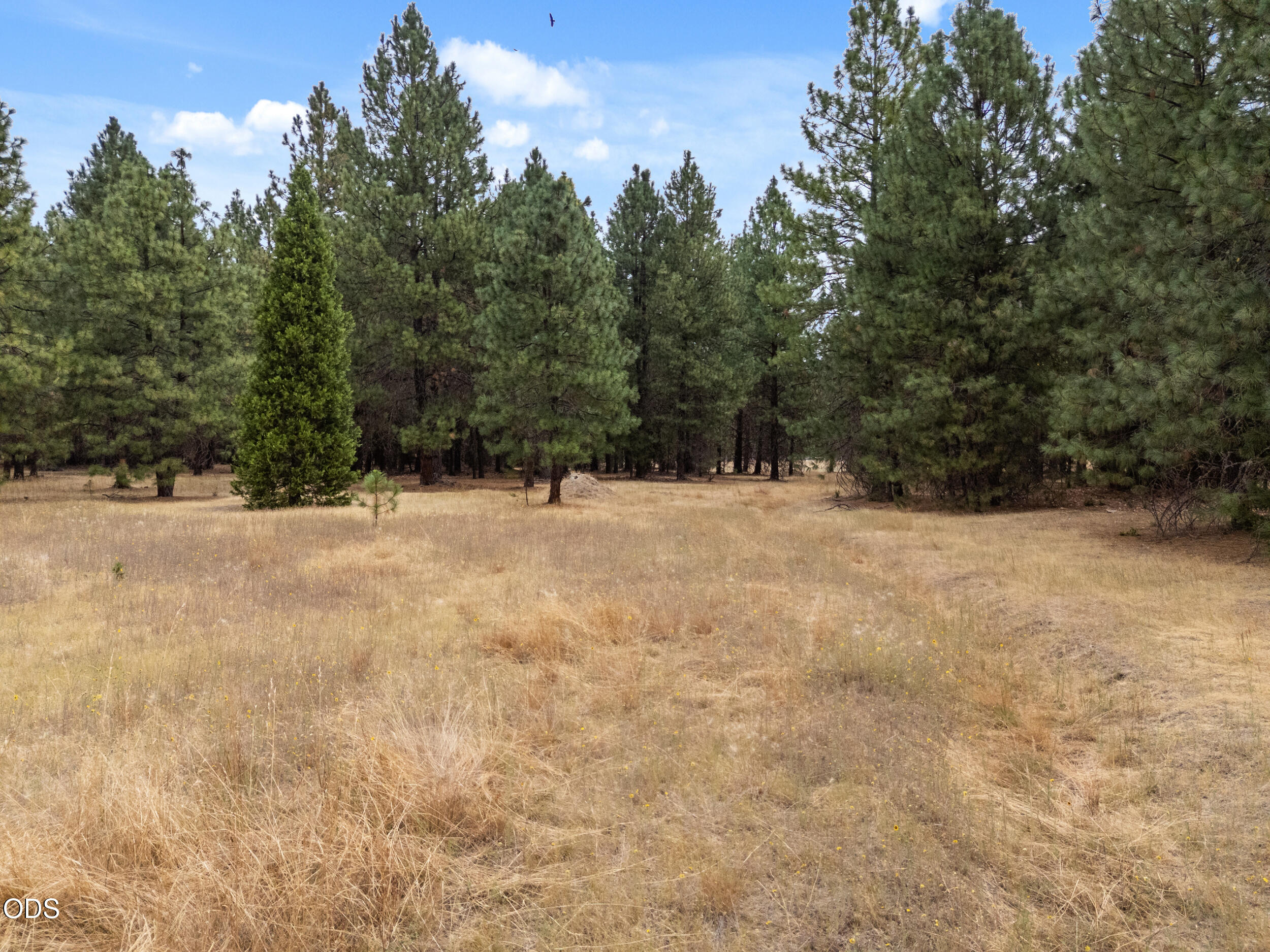 1475 Pleasant Creek Road Rogue River, OR 97537 - Photo 31 of 36 Gallery Image 31