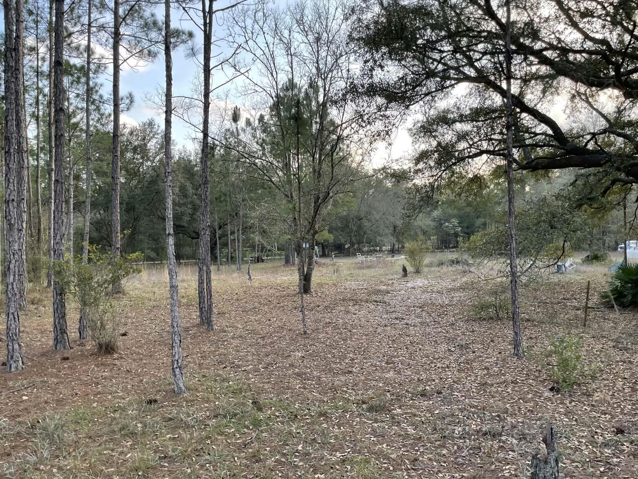 152 Sam Marks Road Crawfordville, FL 32327 - Photo 7 of 18 Gallery Image 7