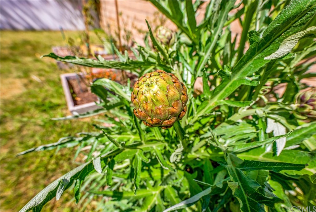 4031 East Grenora Way Long Beach, CA 90815 - Photo 46 of 65