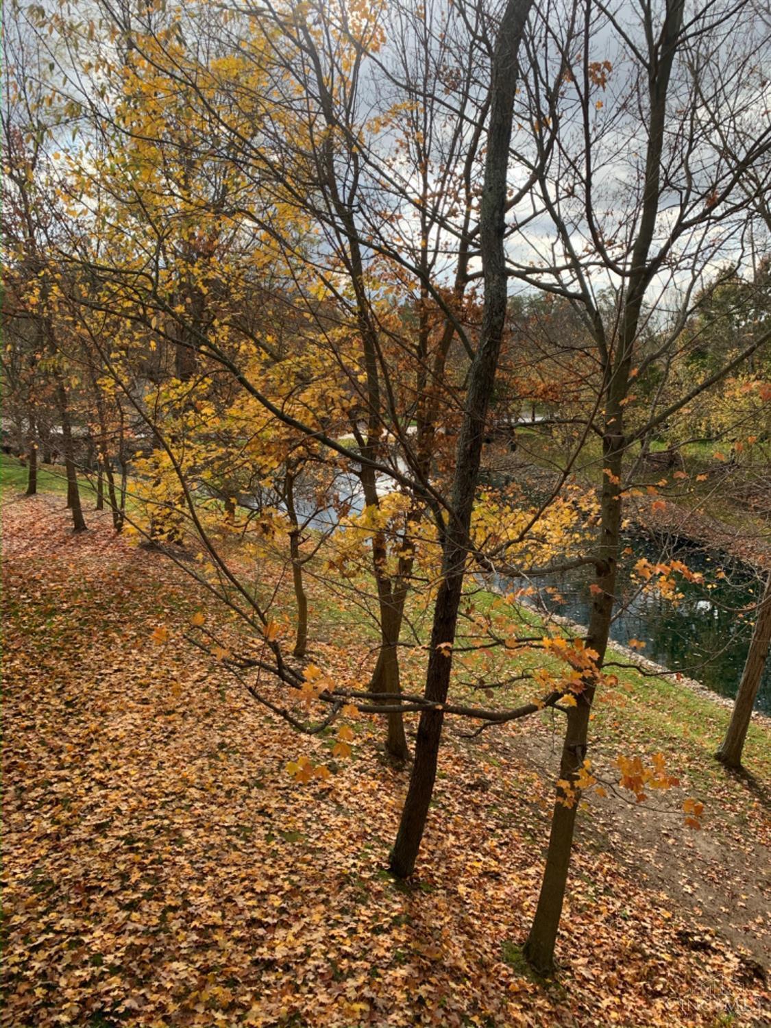 9787 Hunters Ridge Cincinnati, OH 45249 - Photo 4 of 13 Gallery Image 4