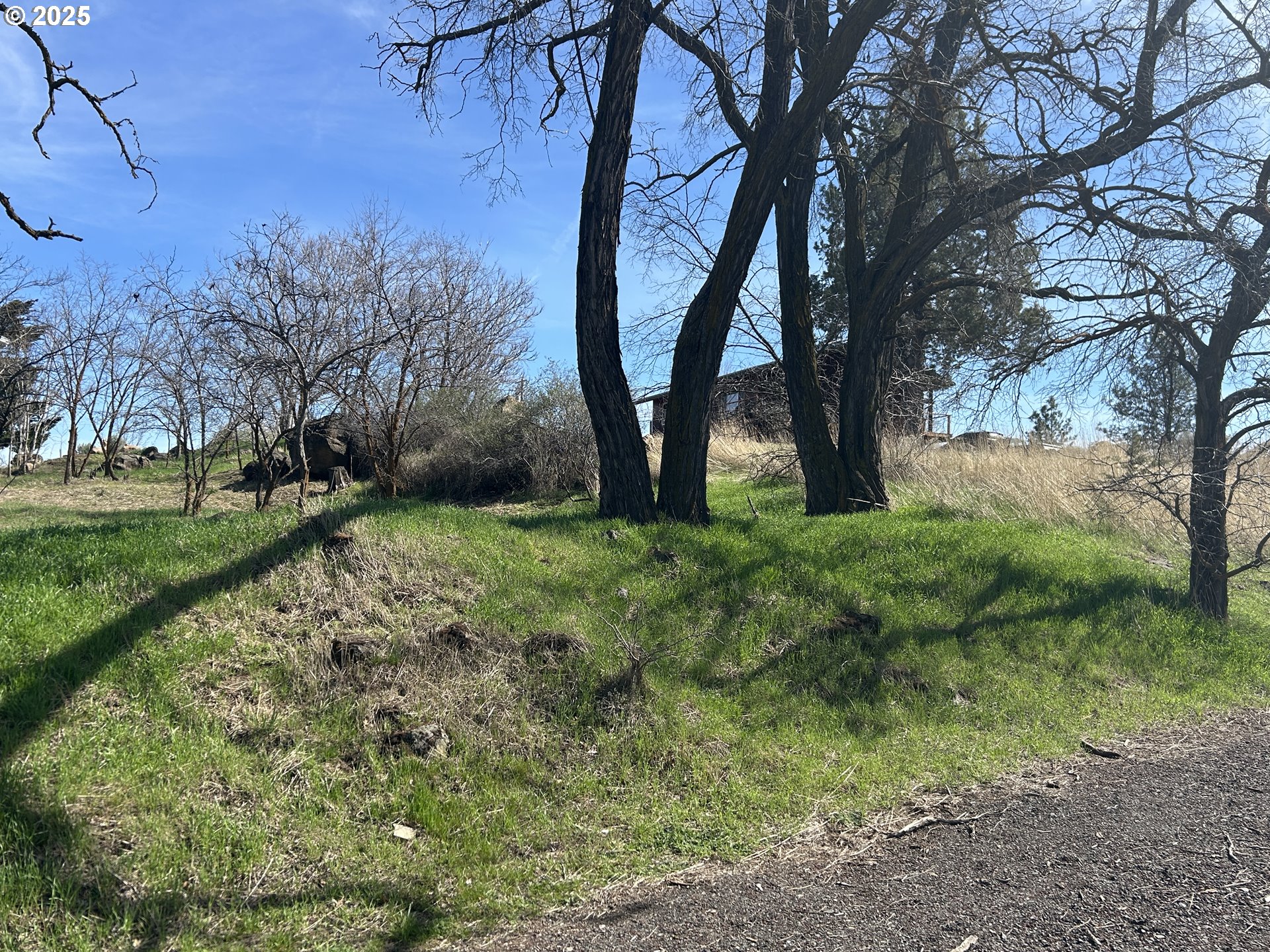 Wamic Market Road Tygh Valley, OR 97063 - Photo 5 of 6