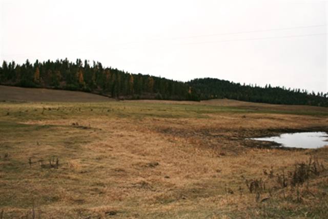 4423 Skands Road Valley, WA 99181 - Photo 3 of 9