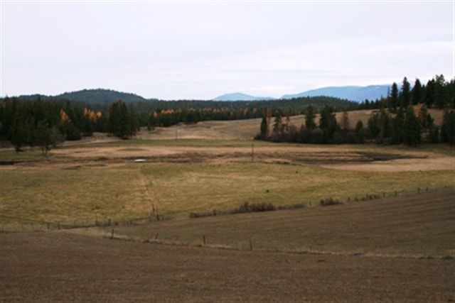 4423 Skands Road Valley, WA 99181 - Photo 4 of 9