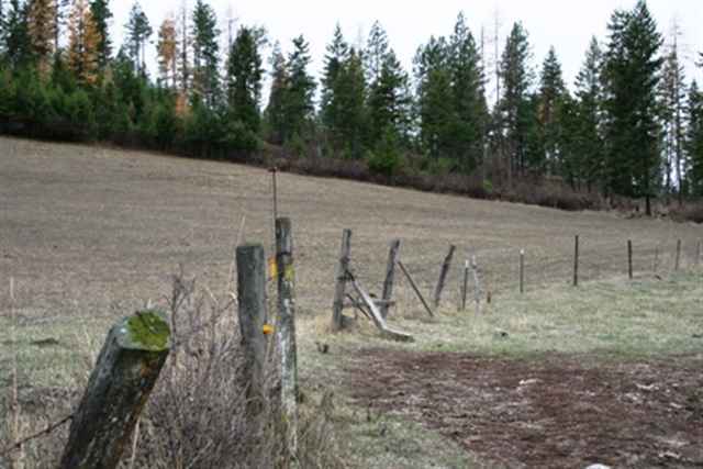 4423 Skands Road Valley, WA 99181 - Photo 7 of 9