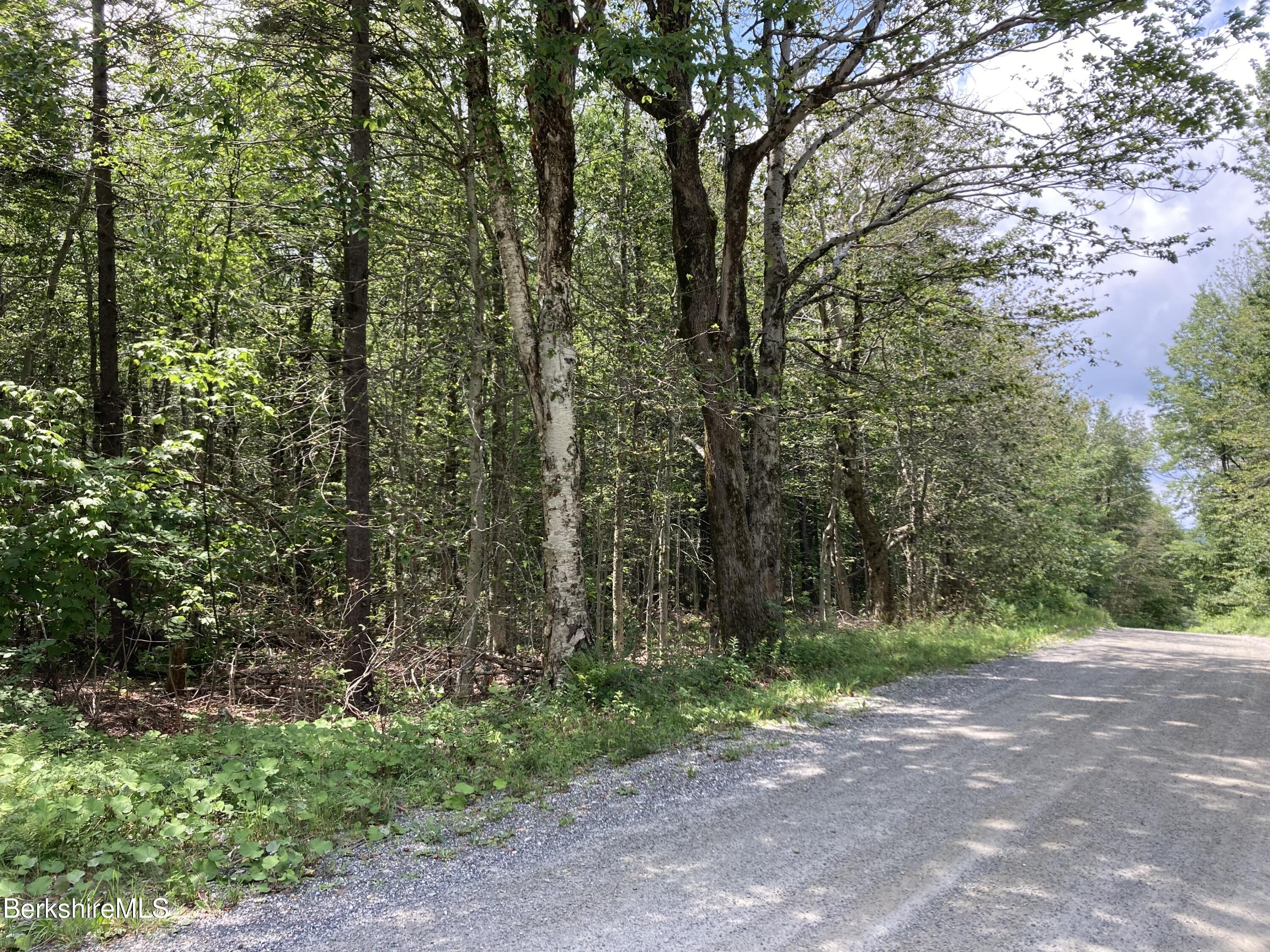 Lot 32 Leonhardt Road Becket, MA 01223 - Photo 2 of 9 a view of a yard with plants and large trees