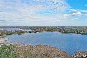 426 Ella Avenue Inverness, FL 34450 - Photo 27 of 27