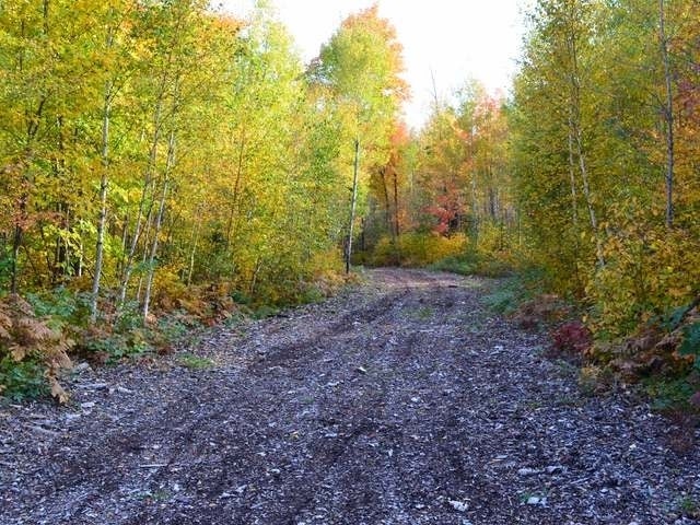 W6415 Cth Road Tomahawk, WI 54487 - Photo 10 of 21 Gallery Image 10