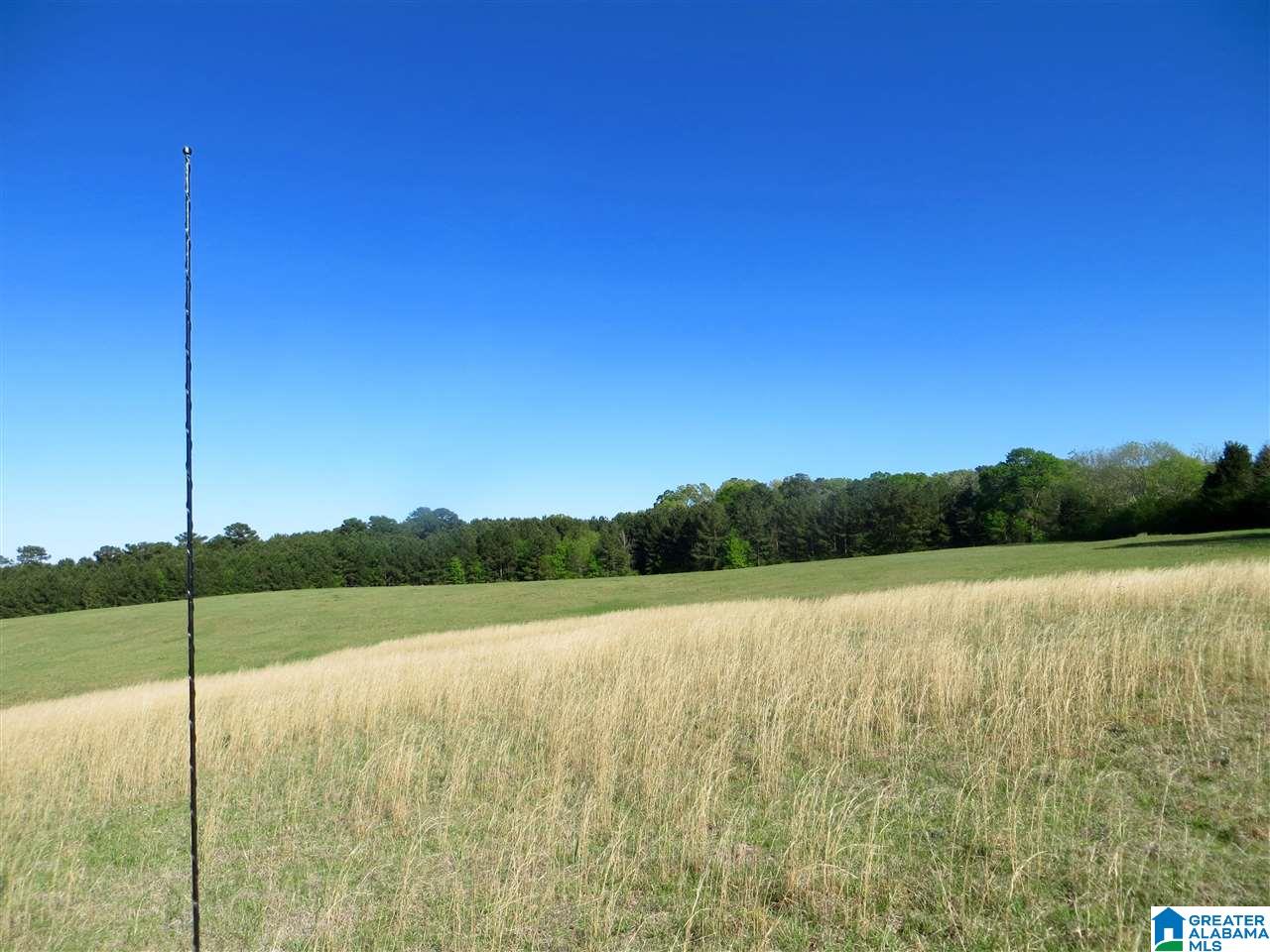 0 Eureka Road, Unit 6 Lincoln, AL 35096 - Photo 24 of 39 Gallery Image 24