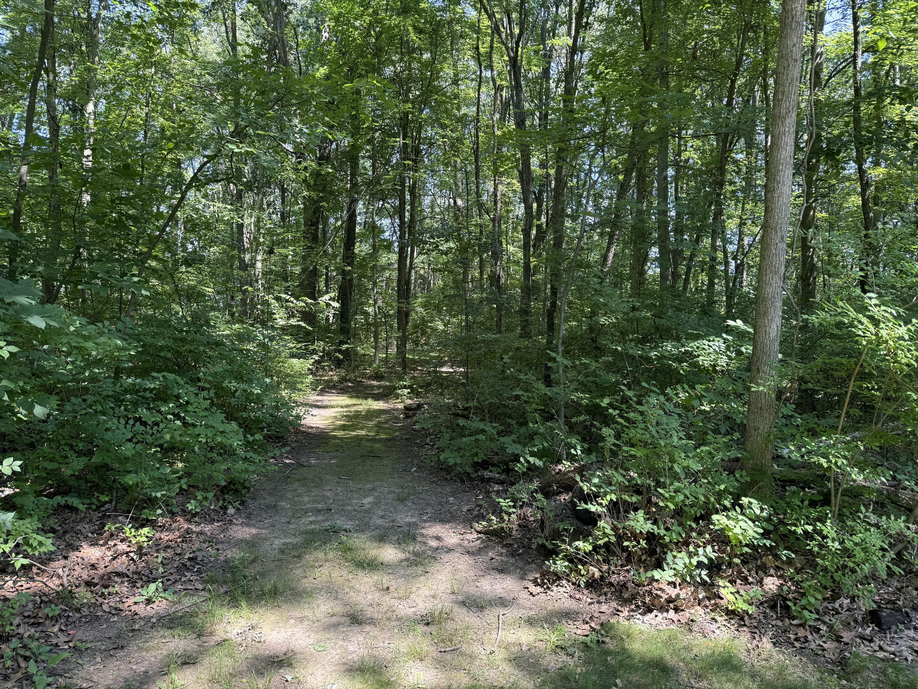 4909 Slayton Road Jackson, MI 49201 - Photo 37 of 41 trail a