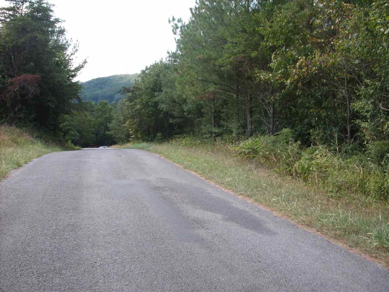 190 Co Road Decatur, TN 37322 - Photo 3 of 7